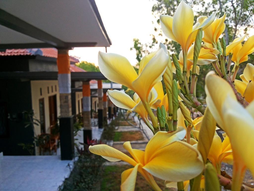 Отель Tregge Surf Camp Uluwatu Экстерьер фото